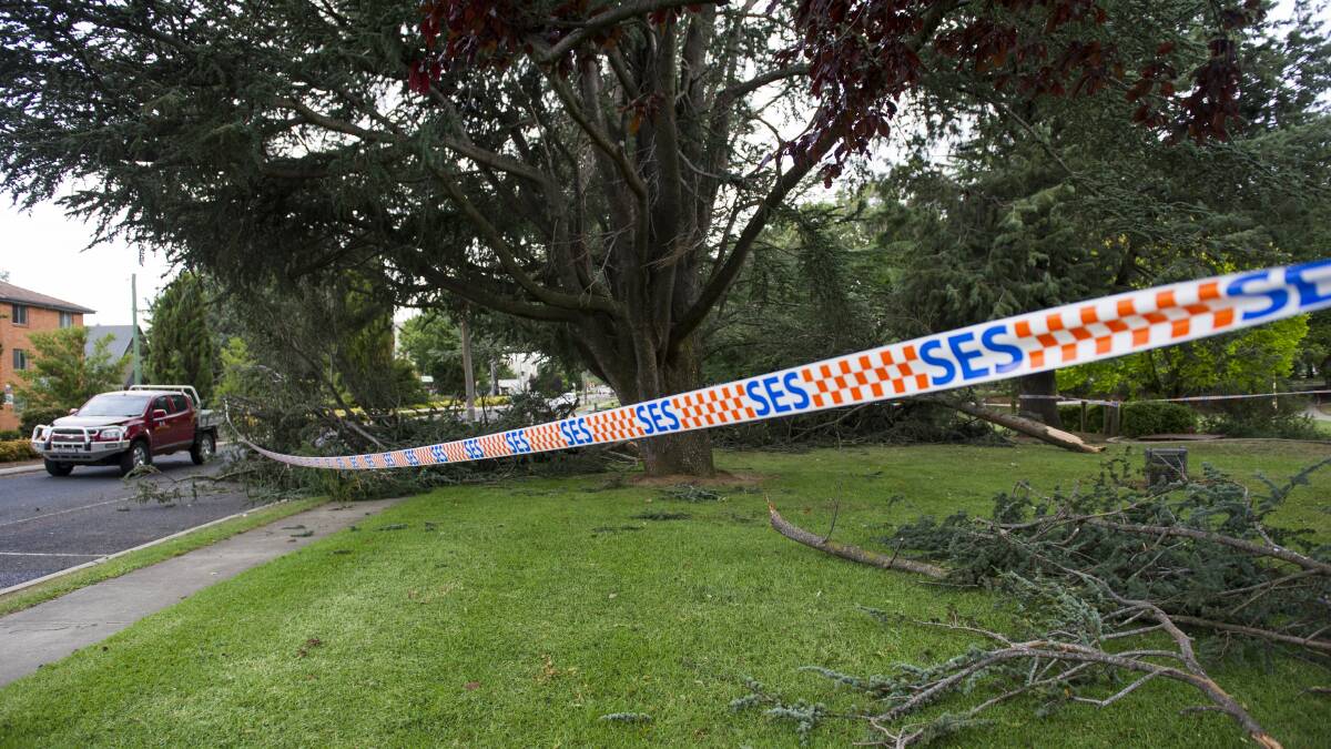 SES clears up after a damaging storm in Queanbeyan earlier this year. Photo: Elesa Kurtz