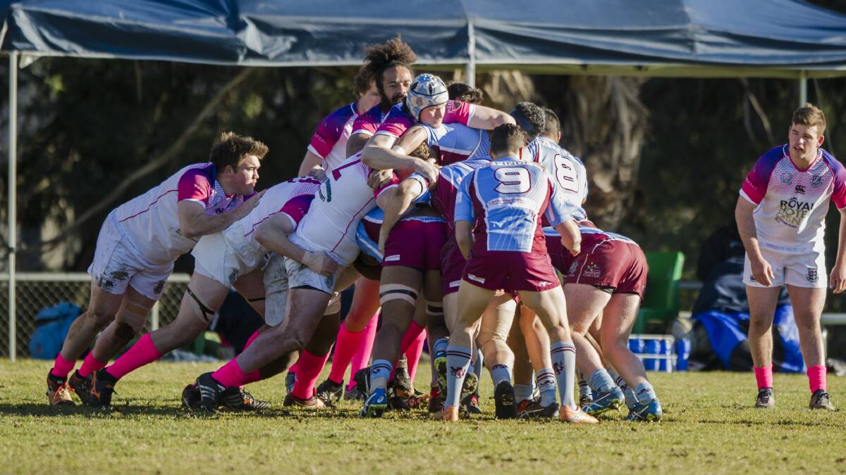 John I Dent Cup rugby union: Queanbeyan Whites v Wests. Photo: Jamila Toderas.