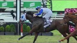 Group 1: Queensland Derby winner Mr Quickie. Picture: YouTube
