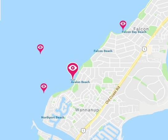 There have been four public shark sightings in Mandurah the past week. Photo: Sharksmart website. 