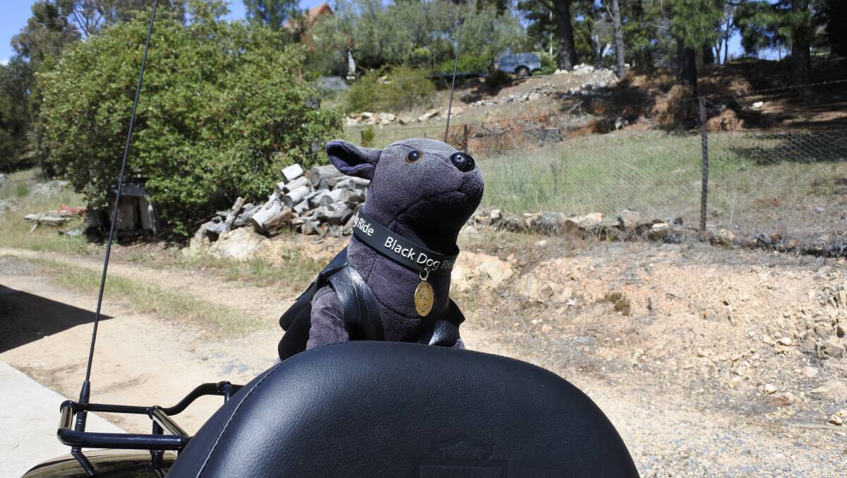 The Black Dog Ride mascot Winston is named after Winston Churchill who famously wrote about "the black dog of depression". Photo: Elliot Williams