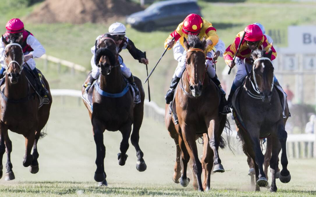 Charlie Royale and jockey Michael Travers (far right) beat D'Beak and jockey Simon Miller in a photo finish for the Queanbyean Cup on Sunday afternoon. Photo: Rohan Thomson