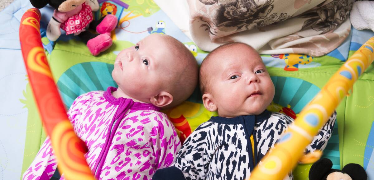 Tegan Shirbin's twins Octavia and Troy are drinking more baby formula than the family can purchase. Photo: Dion Georgopoulos