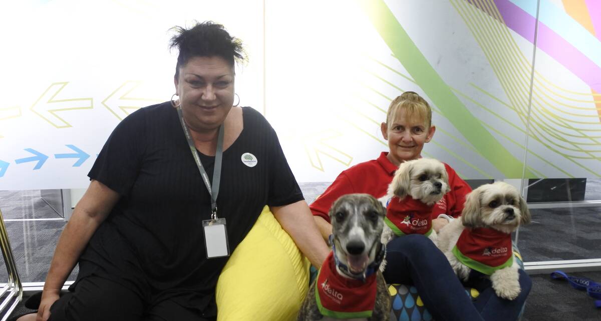 Clinical lead at Headspace Queanbeyan Vera Lloyd and Kym Chiesa from Delta Therapy Dogs with Oska, Tommy and Harry. 