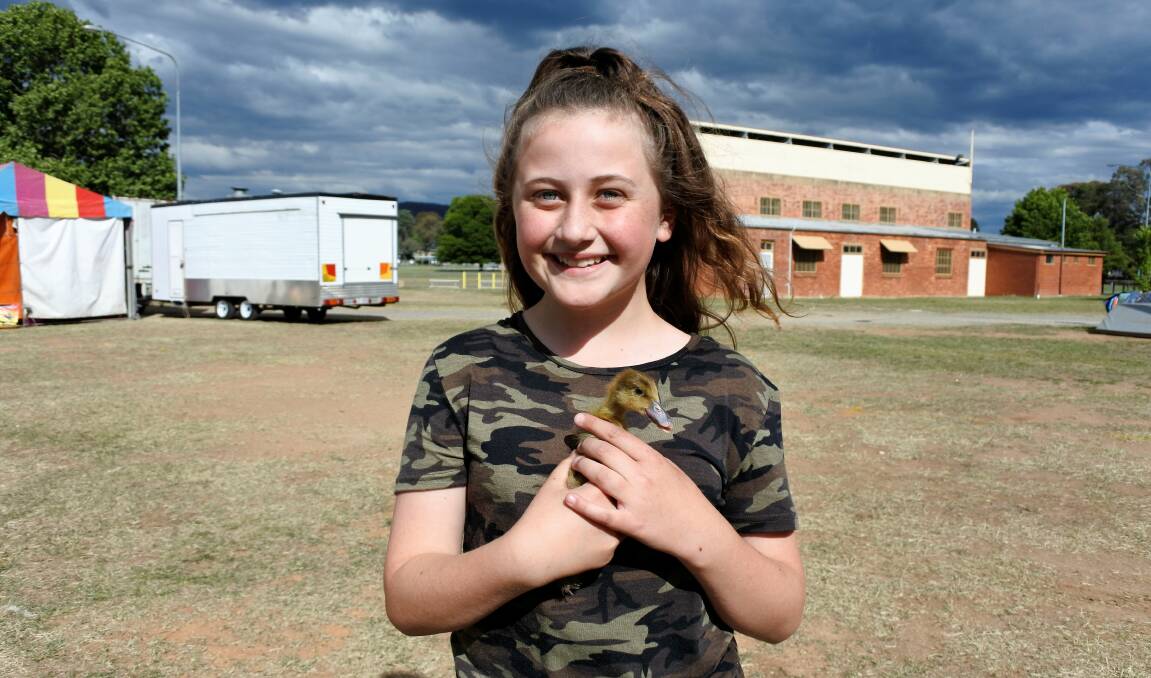 Samantha Zarb is part of the new generation involved in the Queanbeyan Show. Photo: Elliot Williams