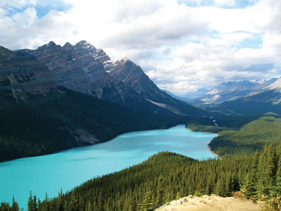 Peyto Lake is glacier-fed and located in Banff National Park in the Canadian Rockies. The lake itself is easily accessed from the Icefields Parkway.