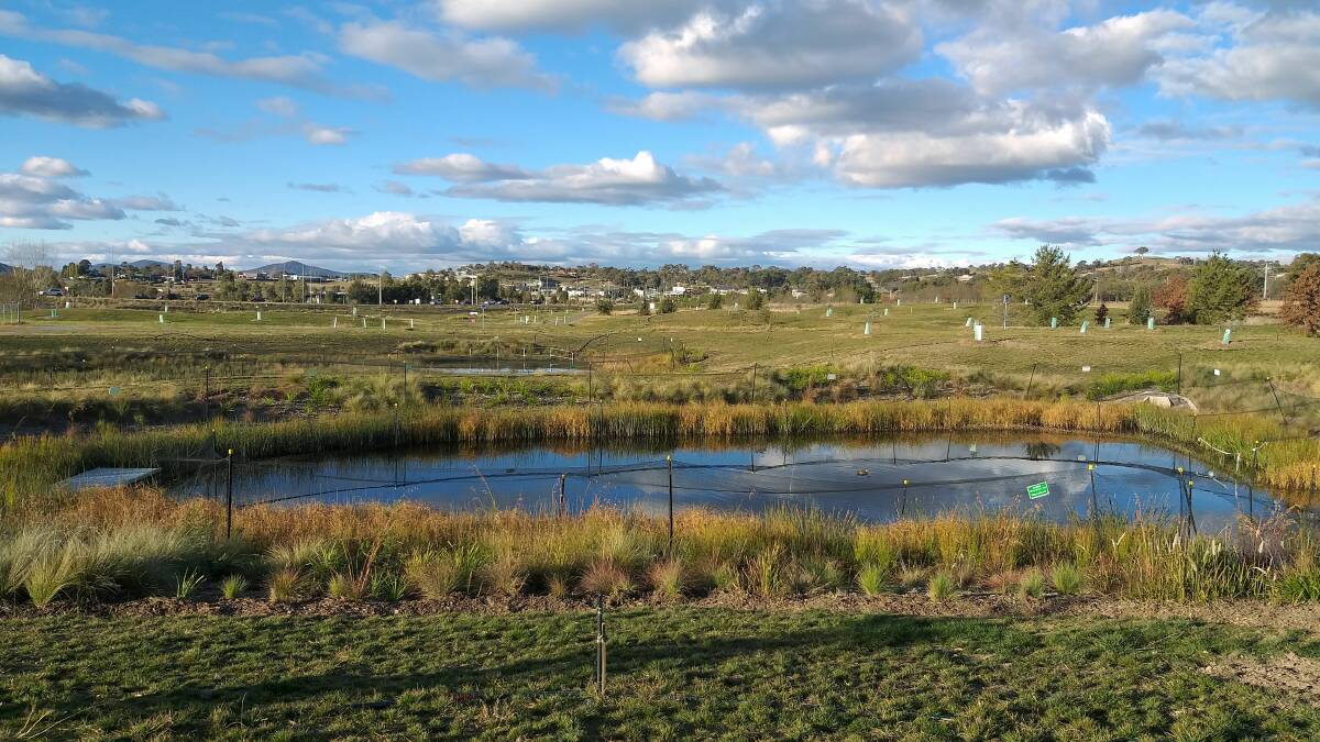 Visit Holder Wetlands this Sunday to learn more about how to care for our waterways.