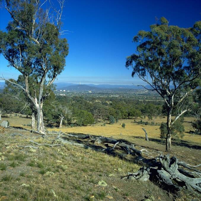 PRIORITIES: A draft management plan for the Canberra Nature Park was recently crafted, and they want to hear from you about the park's opportunities and challenges.