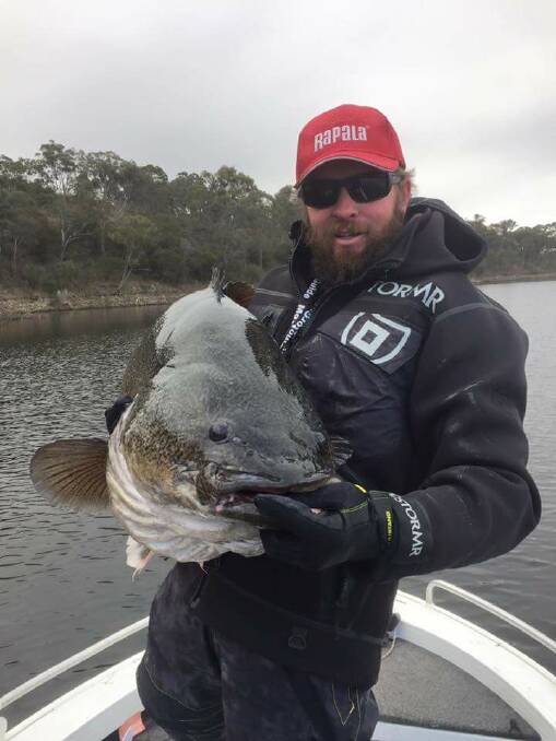 CAUGHT: Adam Rolls brought in a 109cm cod on Lake Googong.