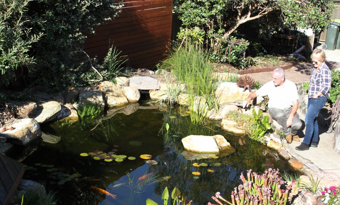 GET WET: A healthy water garden in Chisholm that will be on display during the Open Gardens tour, showcasing achievable strategies to be water-wise in your garden.