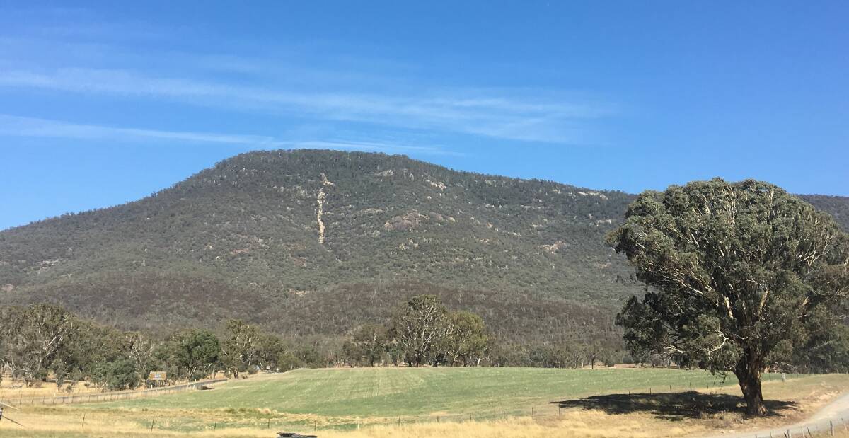 HIDING PLACE: Mt Tennent, with the landslip scar clearly visible, was the lair of bushranger John Tennant.