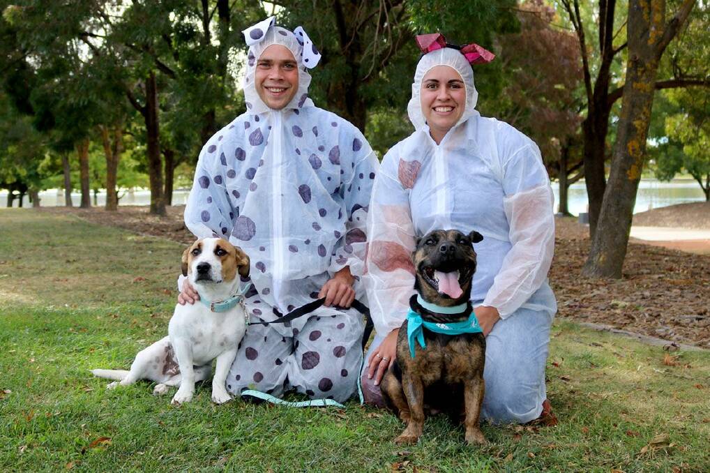 CAMOUFLAGE: This year the RSPCA ACT is trying to beat the Guinness World Record of 'Most People Gathered Dressed as Dogs'.