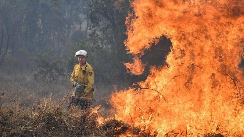 What COVID-19 means for bushfire recovery