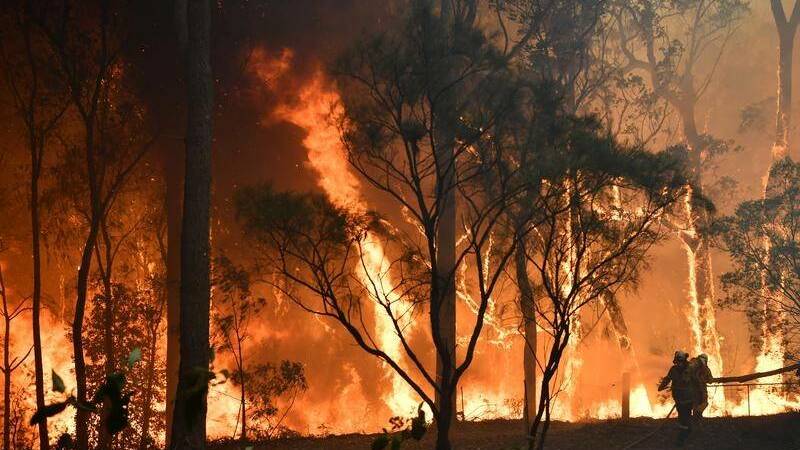 Council's bushfire recovery program continues