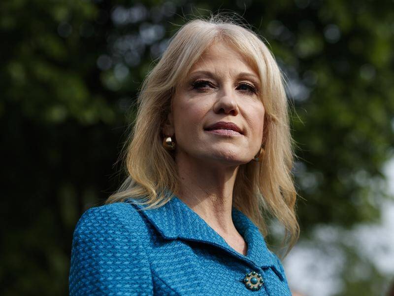 Kellyanne Conway is accused of making partisan attacks on Democrats while a White House employee.