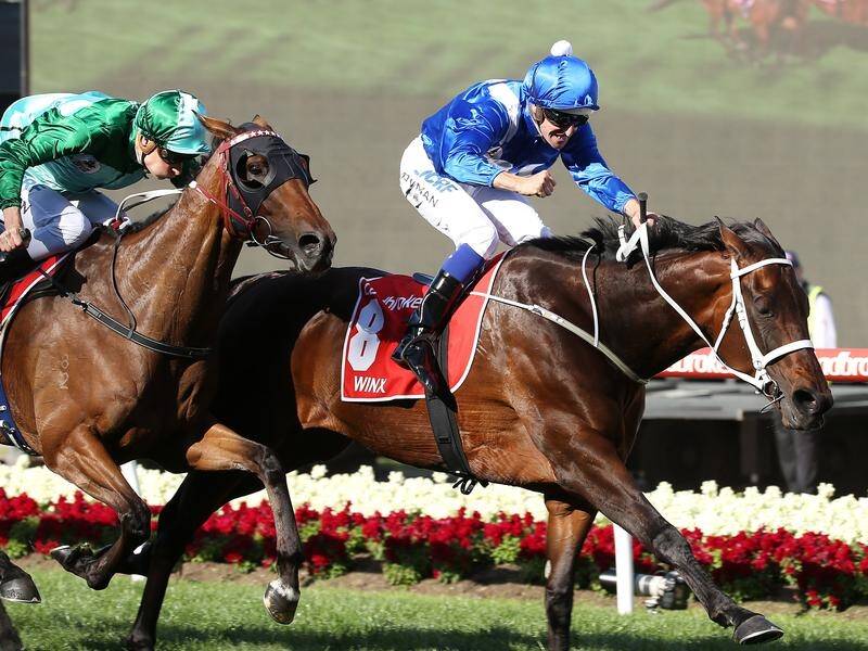 Humidor (left) will be out to go one better than his 2017 Cox Plate placing to champion mare Winx.